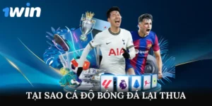 Tại Sao Cá Độ Bóng Đá Lại Thua