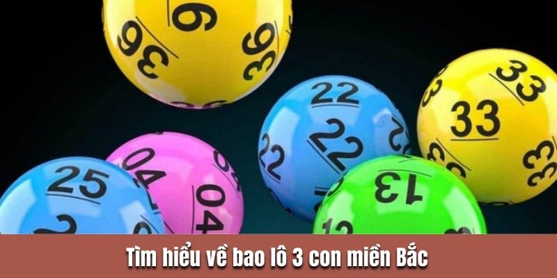 Tìm hiểu về bao lô 3 con miền Bắc 