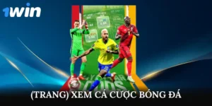 trang xem cá cược bóng đá