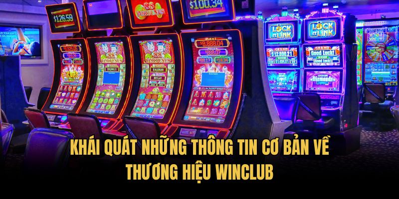 Khái quát những thông tin cơ bản về thương hiệu Winclub